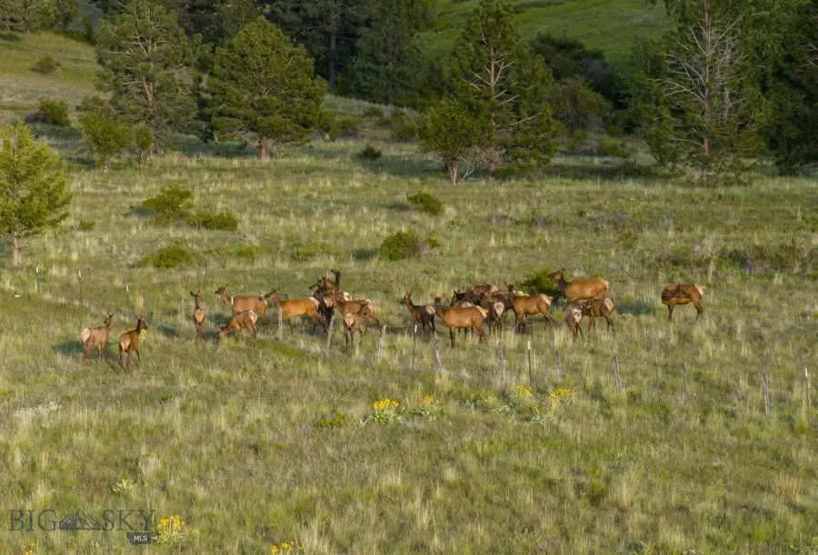 8337 Lamar Trail, Lolo, MT 59847 - Image #3