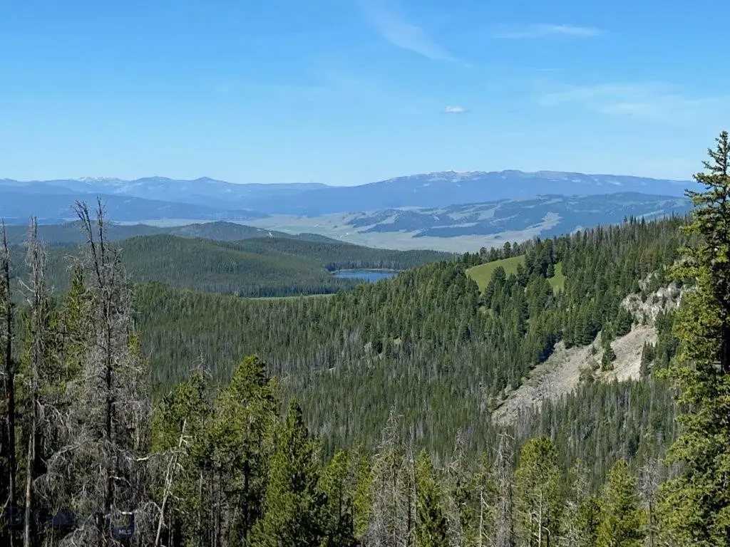 TBD Red Lion Road, Philipsburg, MT 59858 - Image #1