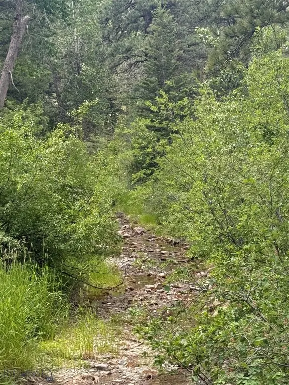 NHN Little Wolf Creek Road, Wolf Creek, MT 59648 - Image #1