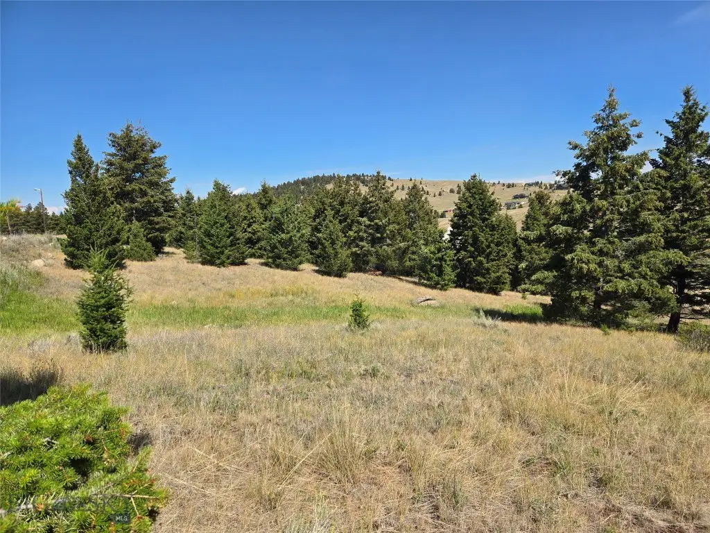 Lot 84 Chalet, Butte, MT 59701 - Image #1