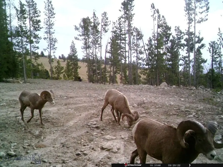 TBD Indian Creek Rd, Townsend, MT 59644 - Image #2