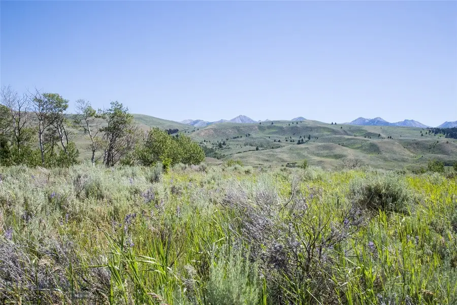 Lot 13 Sun West Ranch, Cameron, MT 59720 - #2