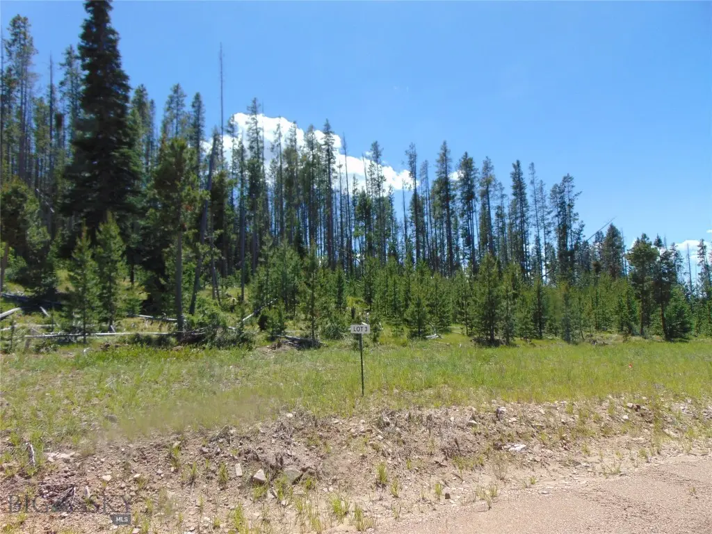 Nhn Silvantite Lane #Lot 3, Anaconda, MT 59711 - Image #1