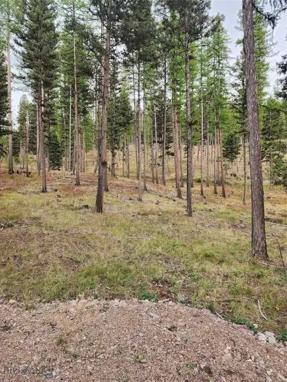 408 Montana View Drive, Seeley Lake, MT 59868 - Image #2