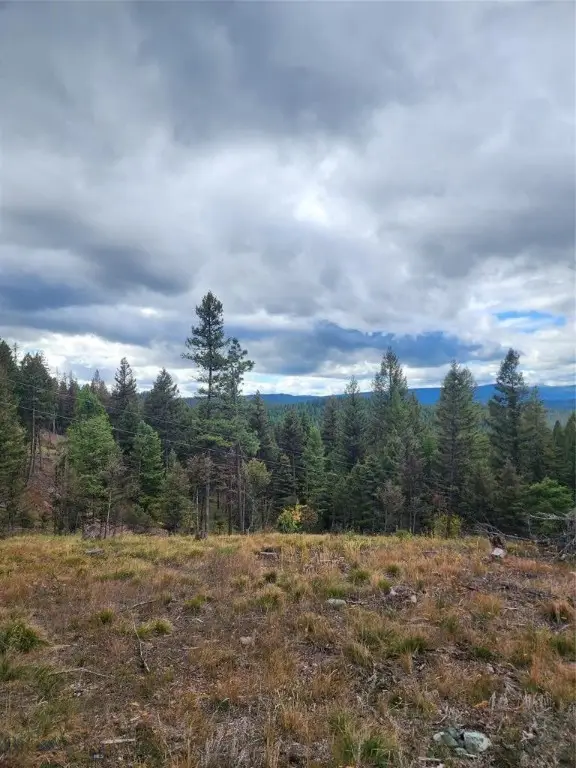 408 Montana View Drive, Seeley Lake, MT 59868 - Image #3