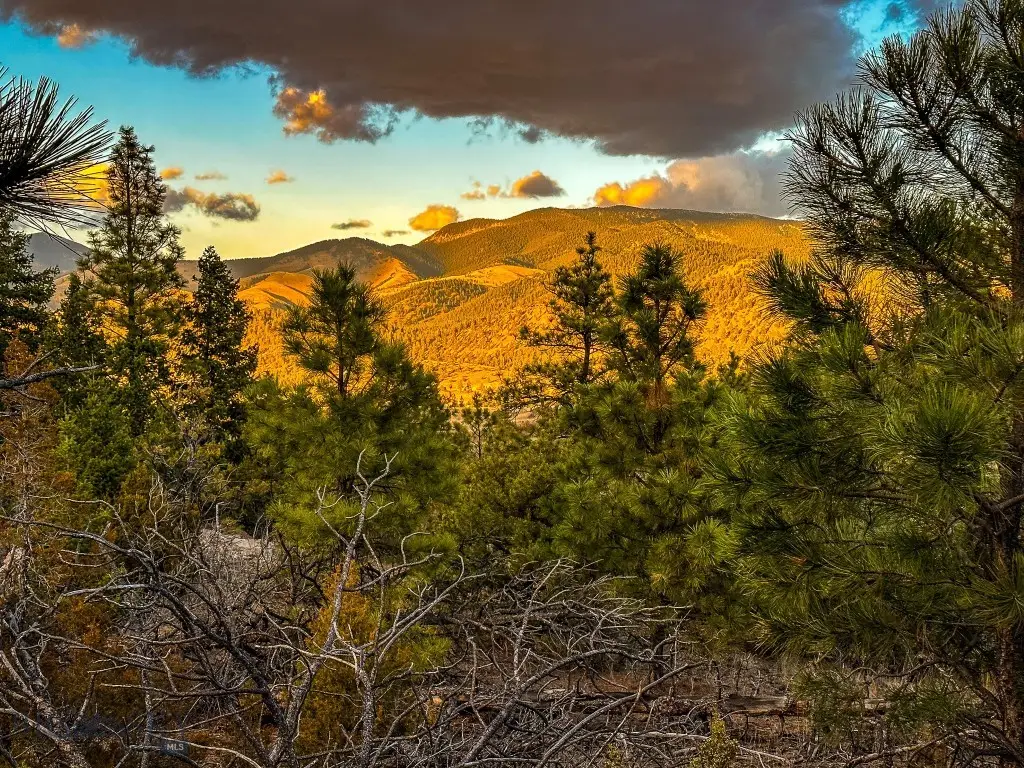 6245 Mcgee Lane, Helena, MT 59602 - #1