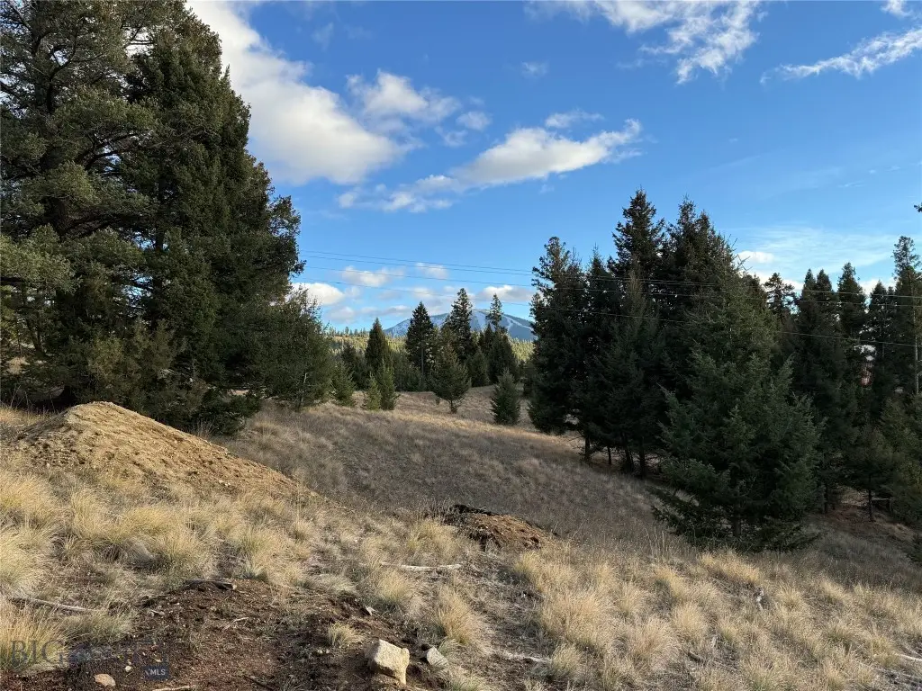 Lot 3 Scranton Lode, Philipsburg, MT 59858 - #1