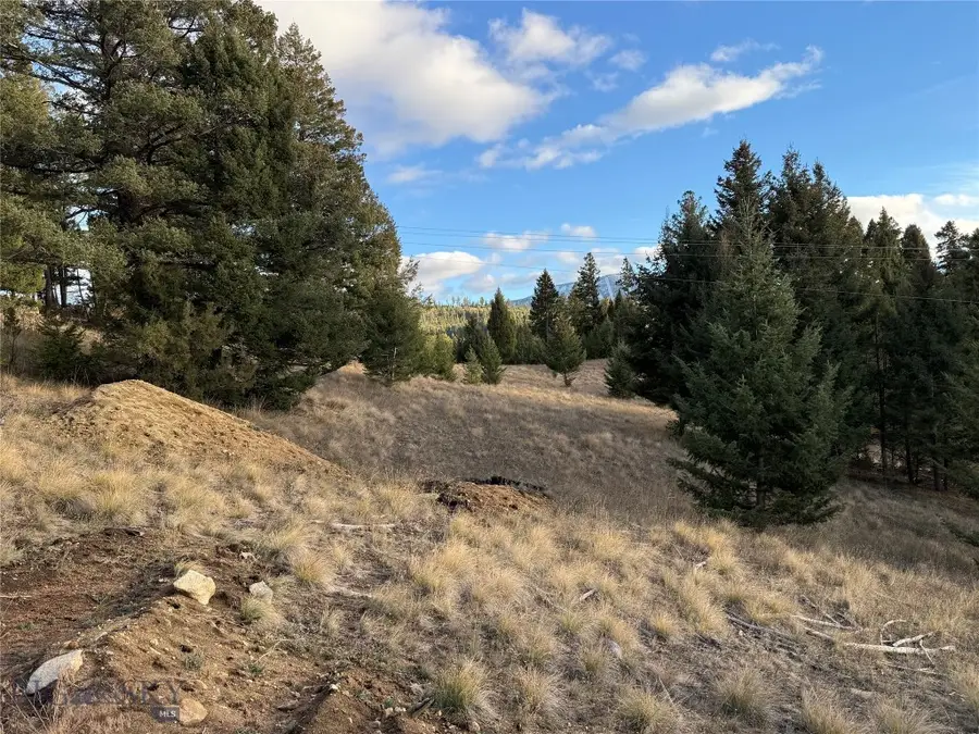 Lot 3 Scranton Lode, Philipsburg, MT 59858 - #3