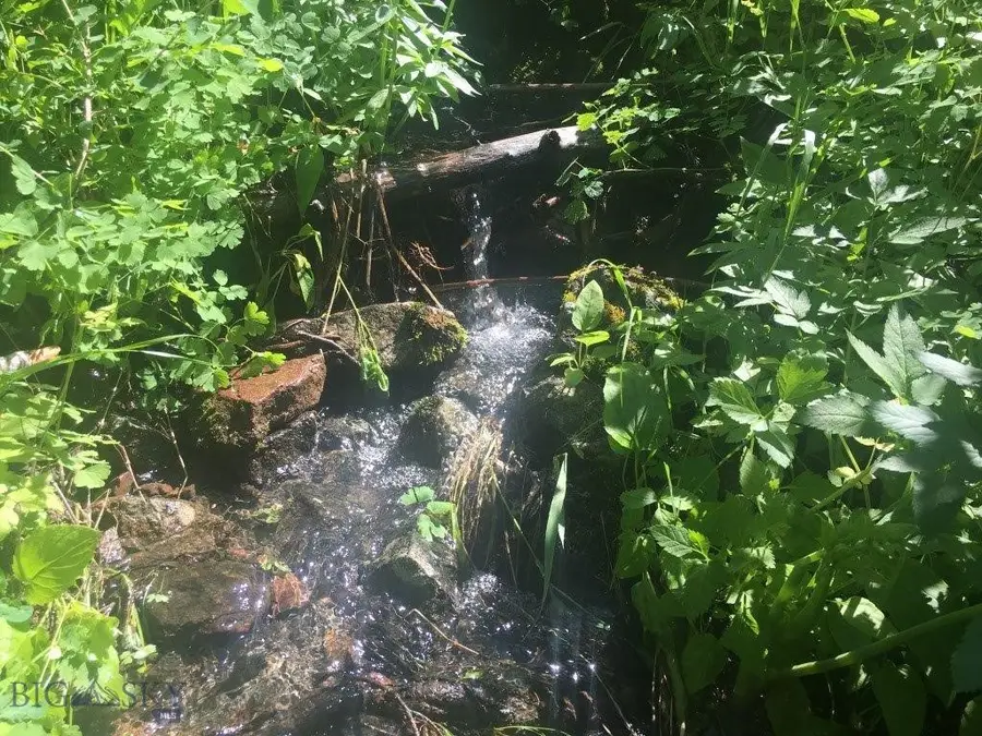 TBD Bear Track Road, Wolf Creek, MT 59648 - #2