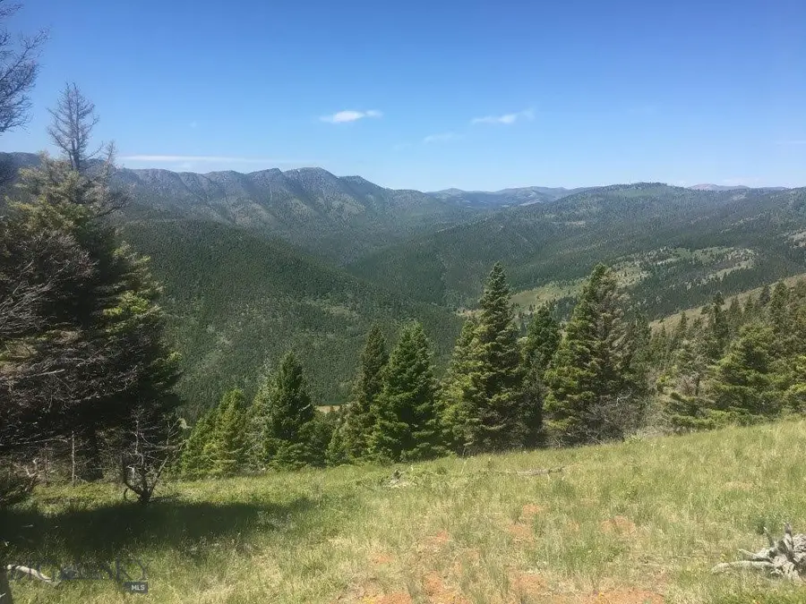 TBD Bear Track Road, Wolf Creek, MT 59648 - #3