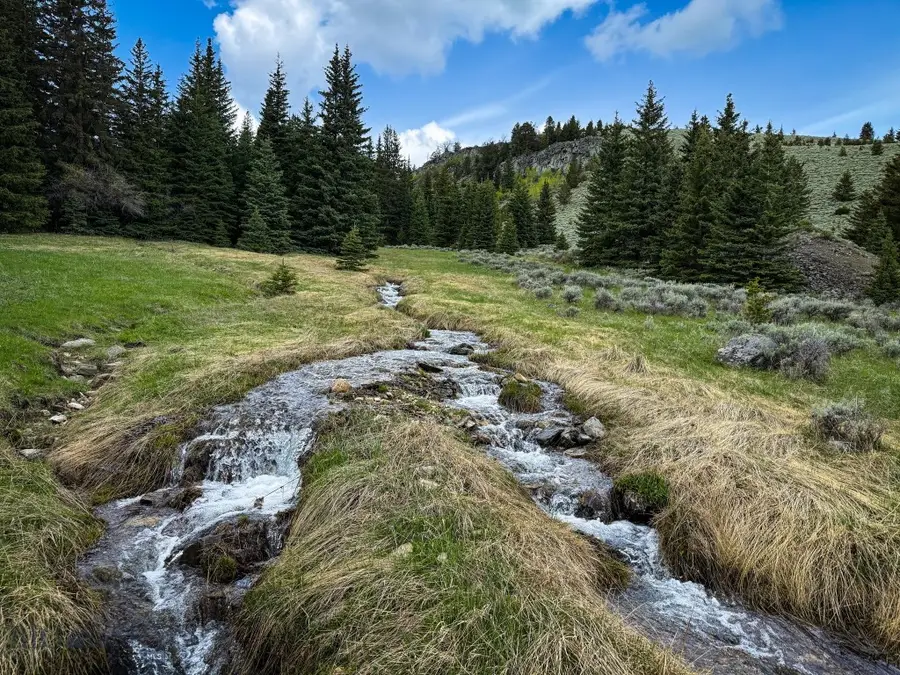 NHN (160 Acres) Charcoal Creek, Pony, MT 59747 - Image #2