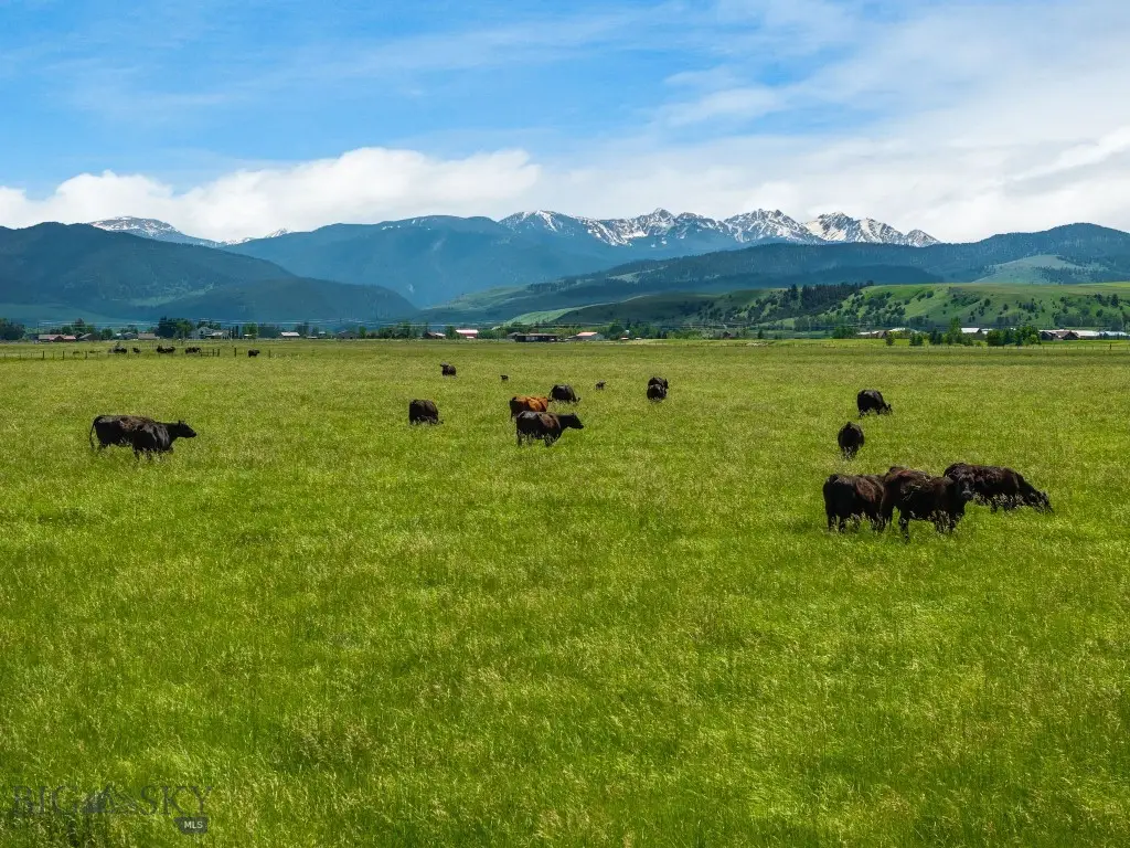 NHN Cottontail Road, Bozeman, MT 59718 - Image #1