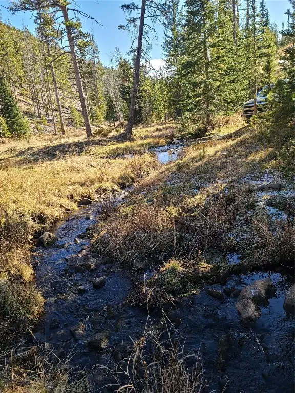 NHN Tract A Cos 145888, White Sulphur Springs, MT 59645 - Image #2