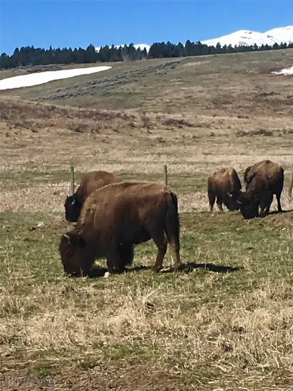 NNN Buffalo Drive, West Yellowstone, MT 59758 - #3