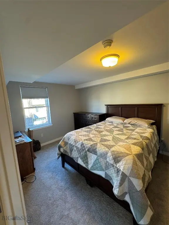 228 S Cottonwood Road #201, Bozeman, MT 59718 - Image #3