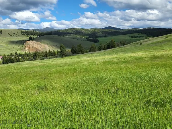 65 Gold Coin Road, Hall, MT 59837