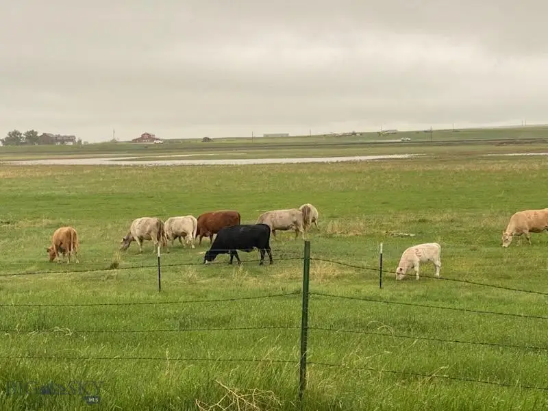 7069 Mainwaring Road, Northwest Yellowstone, MT 59002 - #2