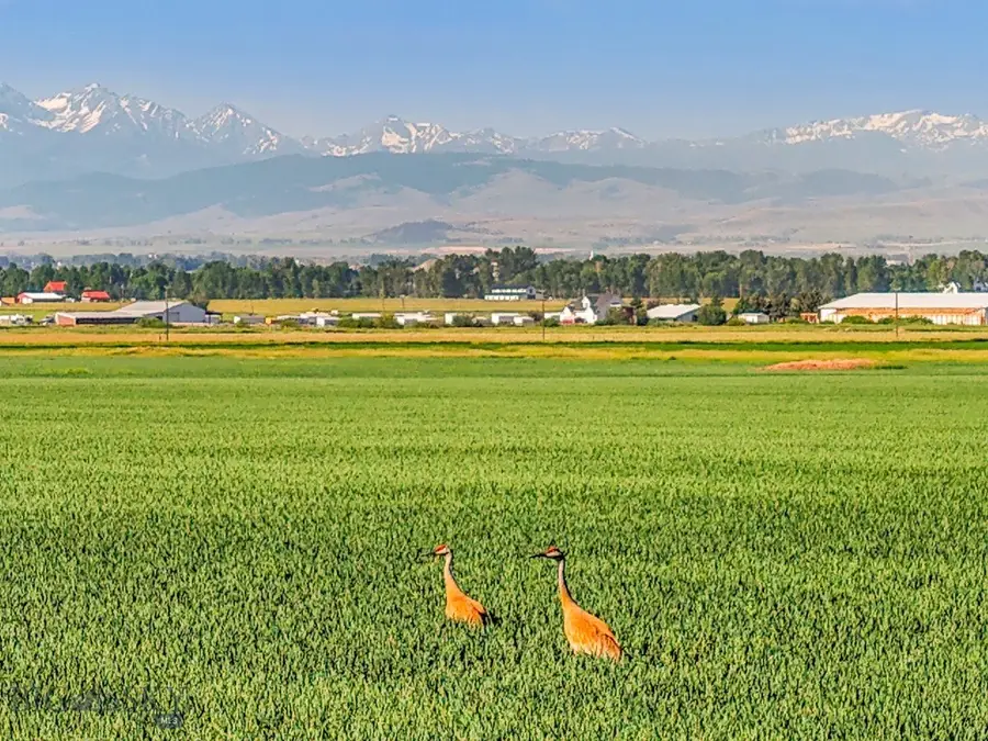 TBD Penwell Bridge Road, Belgrade, MT 59714 - Image #2