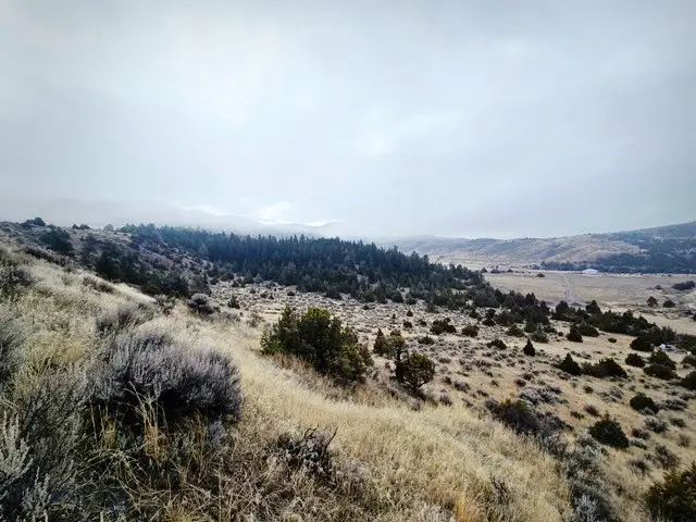 NHN Pole Gulch Road, Ponderosa Pines, MT 59752 - #3