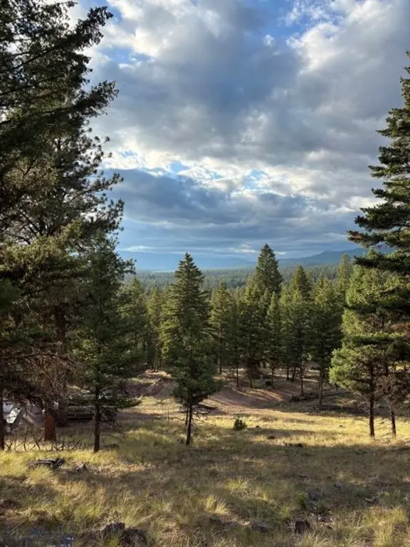 451 Crimson Peak Ct, Seeley Lake, MT 59868