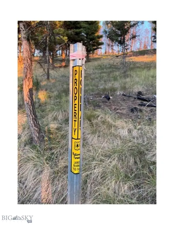 451 Crimson Peak Ct, Seeley Lake, MT 59868 - Image #3