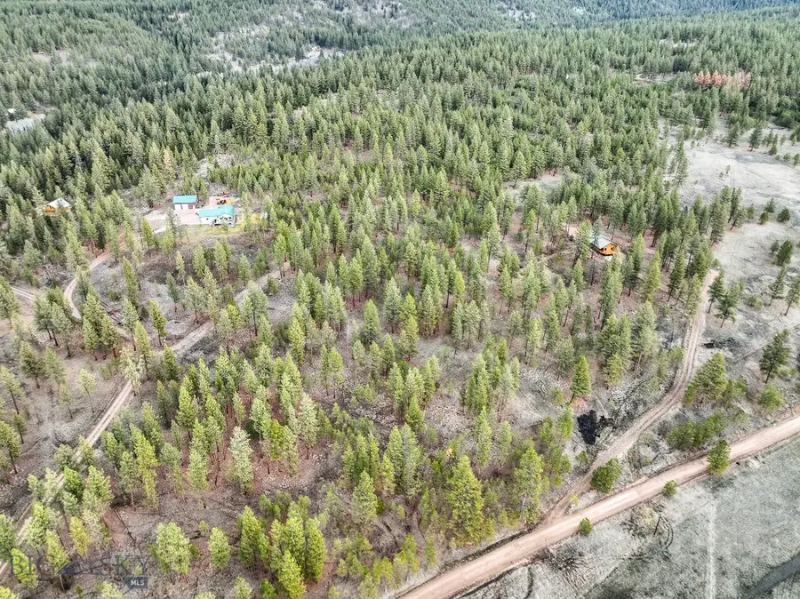 33658 Raghorn Road, Potomac, MT 59823 - Image #2