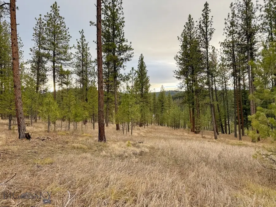 33658 Raghorn Road, Potomac, MT 59823 - Image #3