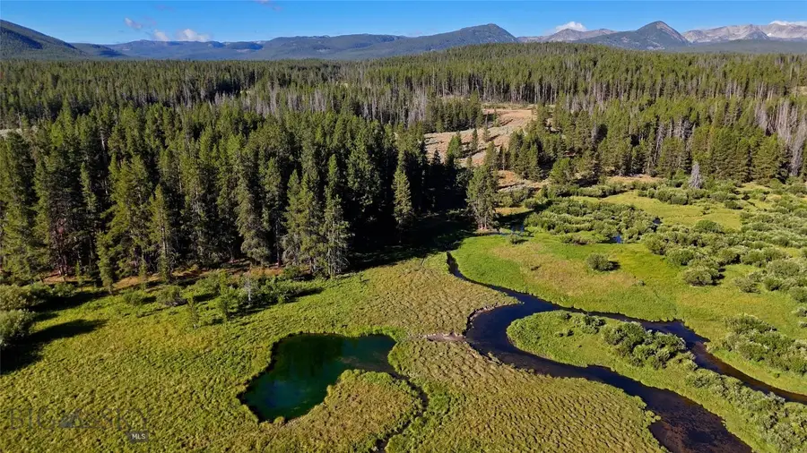 11203 Skinners Meadows Road Road, Jackson, MT 59736 - Image #2