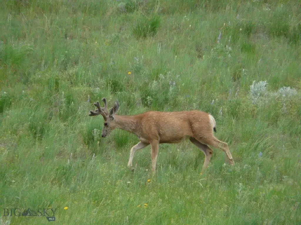 115 Red And King Gulch Road, Laurel, MT 59044 - Image #1