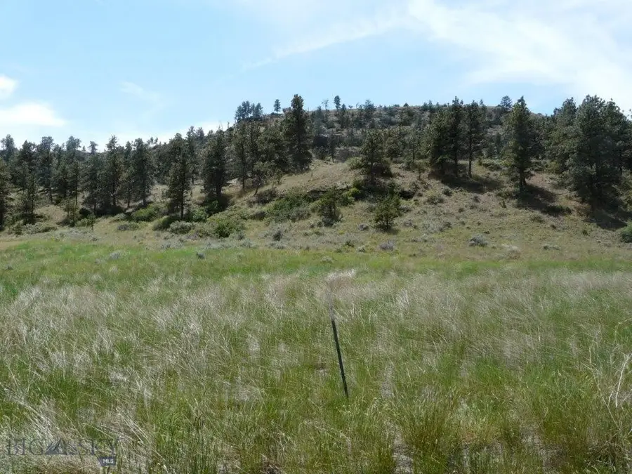 115 Red And King Gulch Road, Laurel, MT 59044 - Image #2