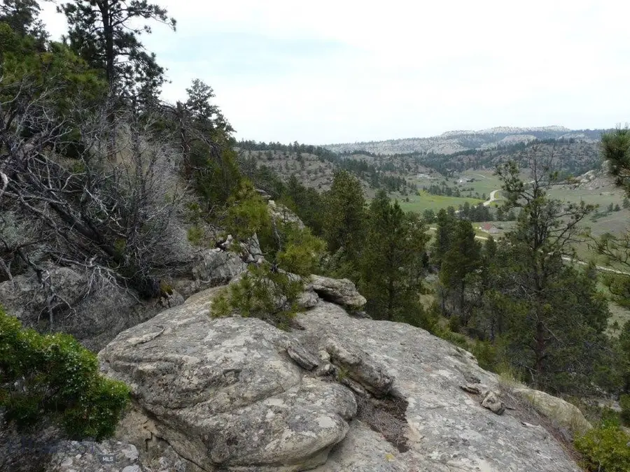 115 Red And King Gulch Road, Laurel, MT 59044 - Image #3