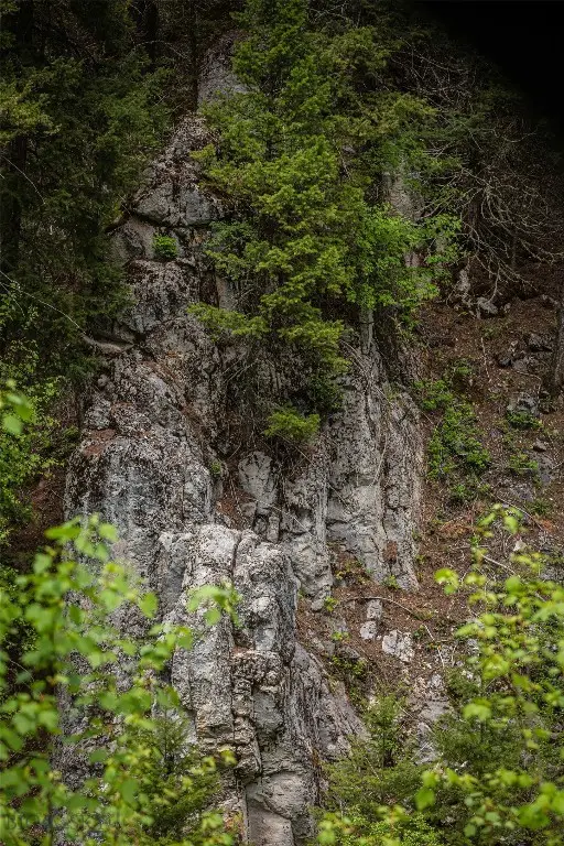 4,5,6,7 Garnet Range, Drummond, MT 59832