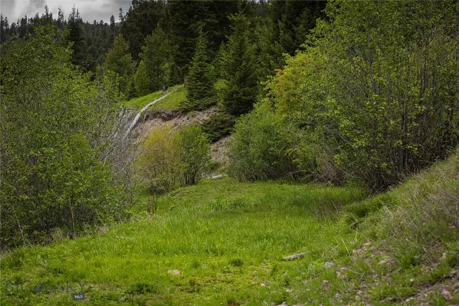 4,5,6,7 Garnet Range, Drummond, MT 59832 - #2