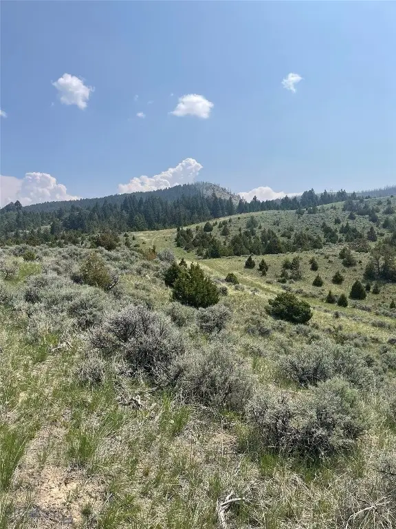 Lot 129 Round Pole Drive, Ponderosa Pines, MT 59752 - #1