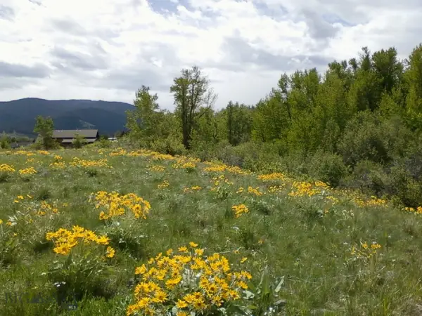 779 Cayuse Trail, Bozeman, MT 59715