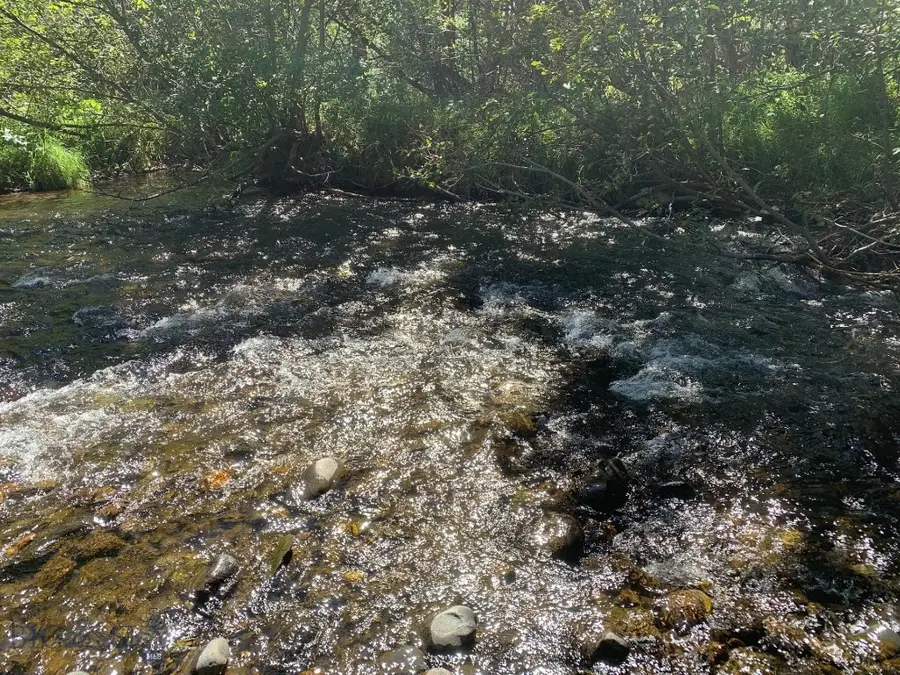 779 Cayuse Trail, Bozeman, MT 59715 - #2