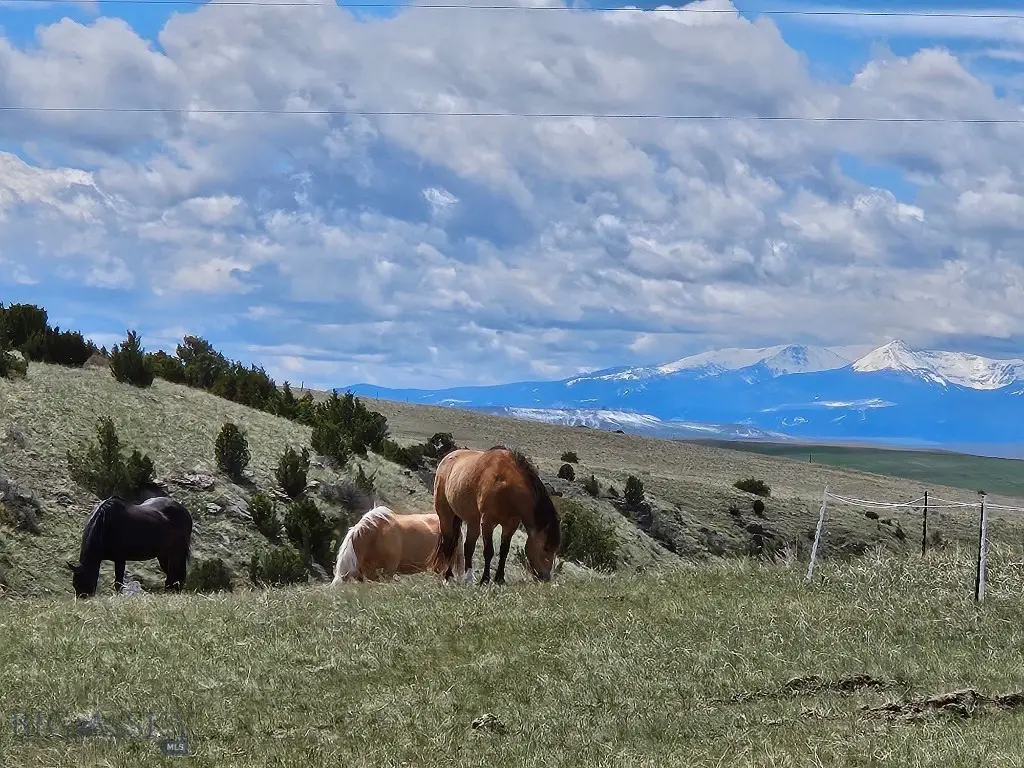 1590 Four Rivers Road, Three Forks, MT 59752 - #1