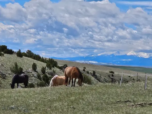 1590 Four Rivers Road, Three Forks, MT 59752