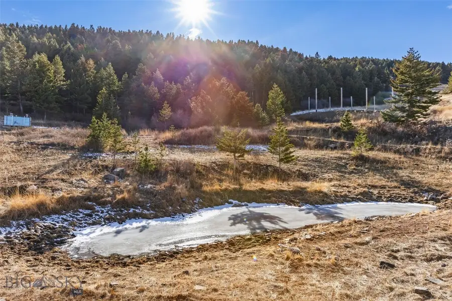 TBD Elk Meadows, Livingston, MT 59047 - #2