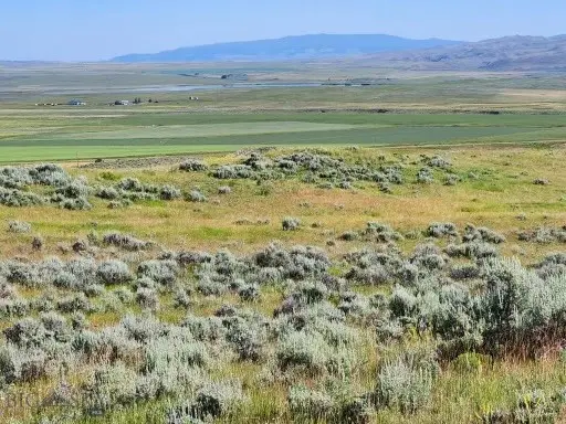 TBD Old Flathead Creek Road-parcel A1, Wilsall, MT 59086 - #3