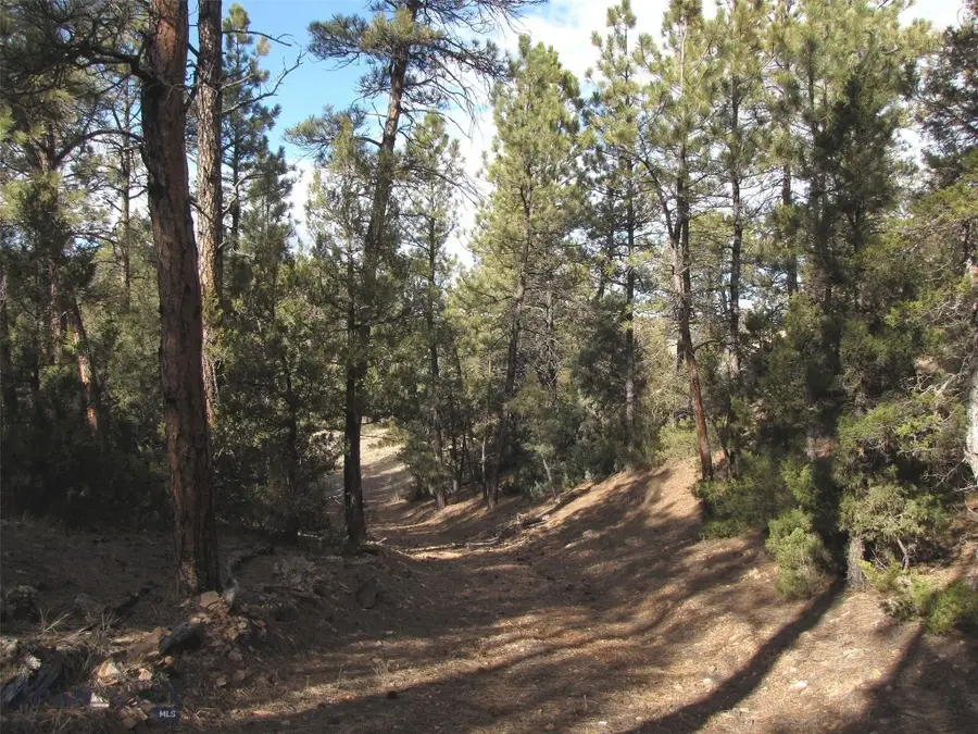 4829 Moon Creek Road, Miles City, MT 59301 - #2