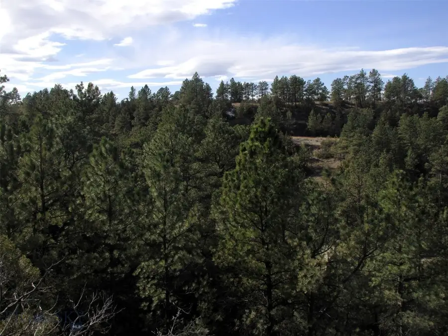 4829 Moon Creek Road, Miles City, MT 59301 - #3