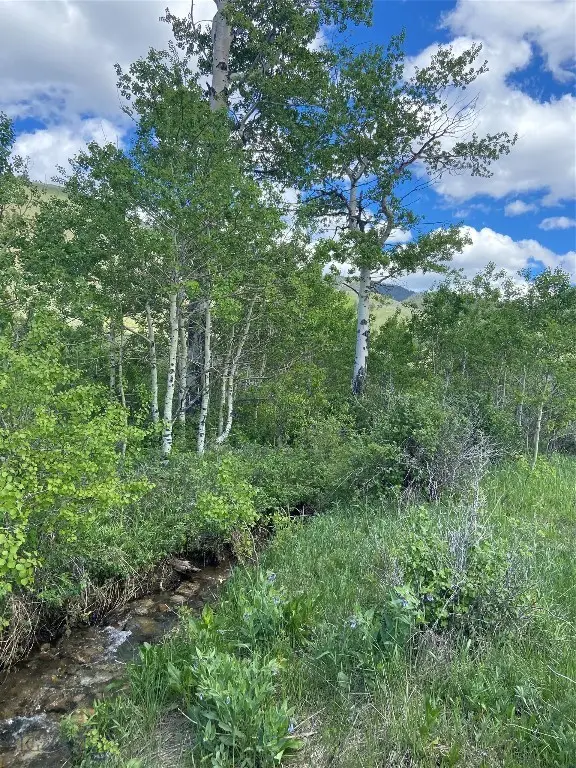 Lot 39B Sportsman's Paradise, Cameron, MT 59720 - #2