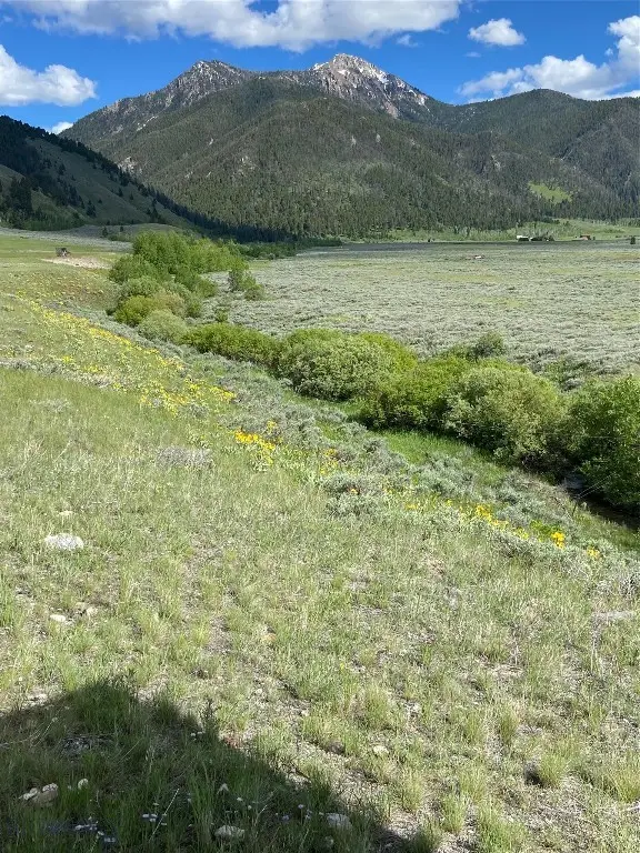 Lot 39B Sportsman's Paradise, Cameron, MT 59720 - #3