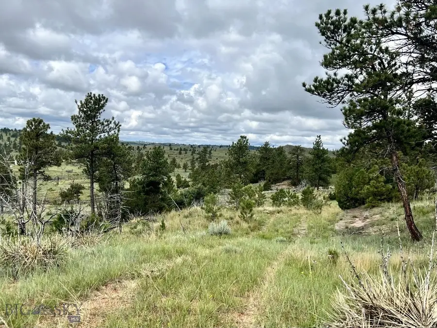 NHN Hillside Dr, Miles City, MT 59301 - #3