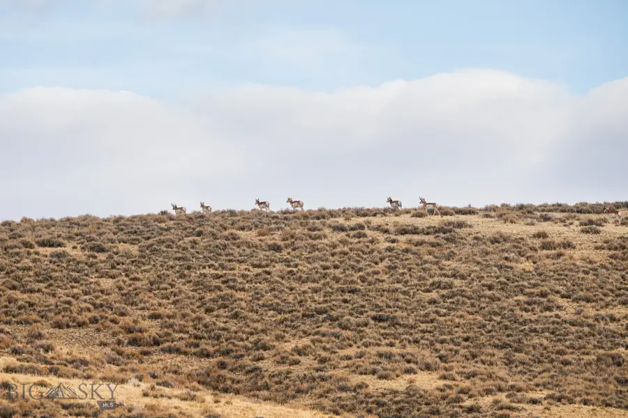 TBD Buster Brown Road, Dillon, MT 59725 - #2