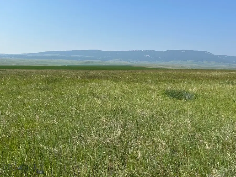 TBD Ubet Road, Buffalo, MT 59418 - #2