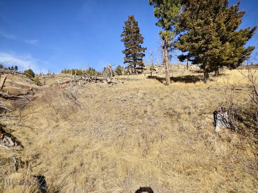 83 Nursery Creek, Boulder, MT 59632 - #3