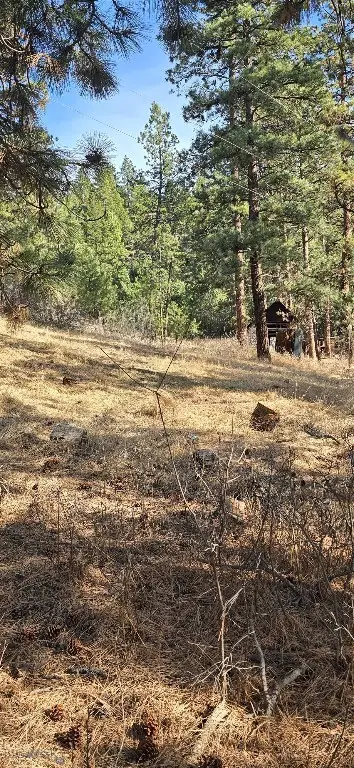 211 Warm Springs Creek Rd, Clancy, MT 59634 - #1