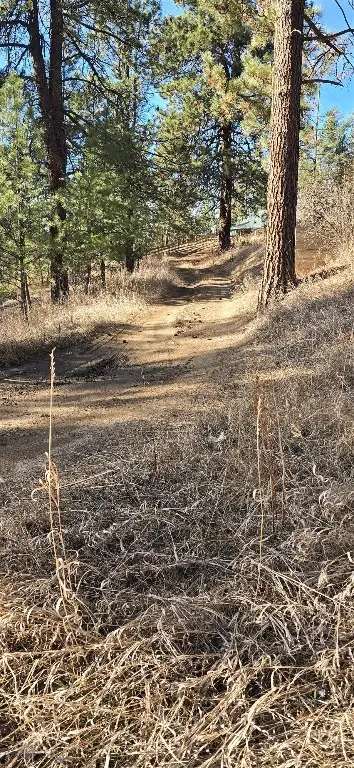 211 Warm Springs Creek Rd, Clancy, MT 59634 - #2